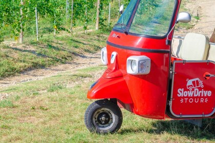 Langhe tour by Ape with a delicious Barolo wine tasting