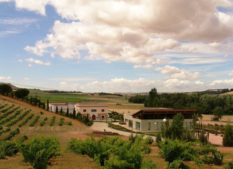 Picture 1 for Activity Toro: Piedra Winery Tour & Oak barrel Tastings