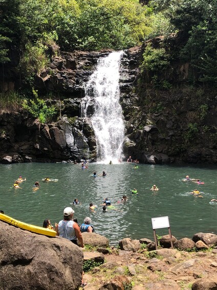 Picture 8 for Activity Oahu: Waimea Falls & valley & North Shore day