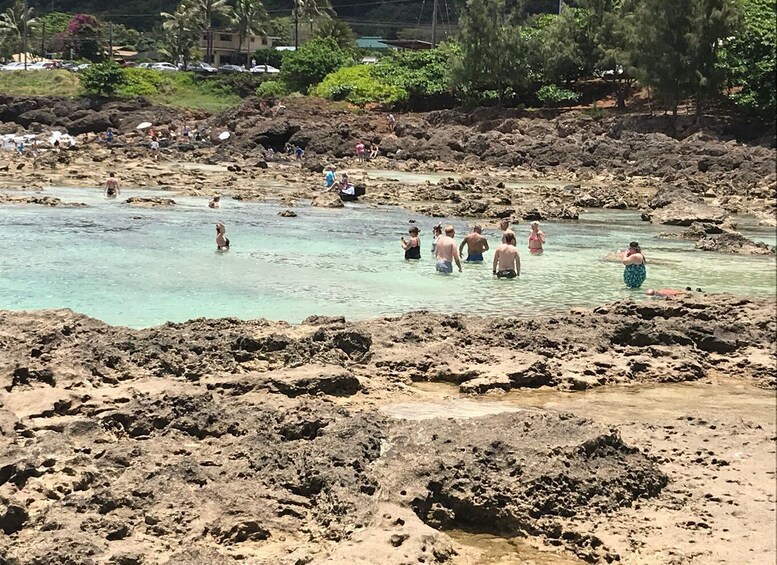 Picture 2 for Activity Oahu: Waimea Falls & valley & North Shore day