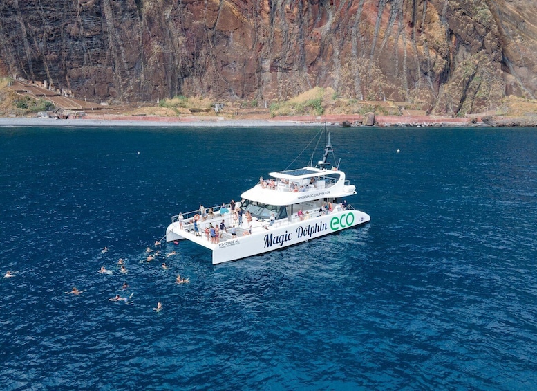 Picture 9 for Activity From Funchal: Ecological Catamaran Dolphin Whale Watching