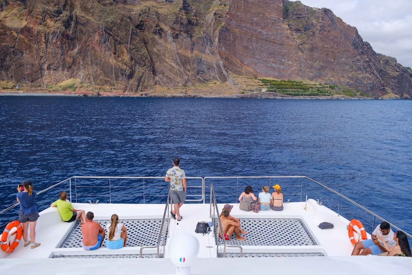 Picture 1 for Activity From Funchal: Ecological Catamaran Dolphin Whale Watching