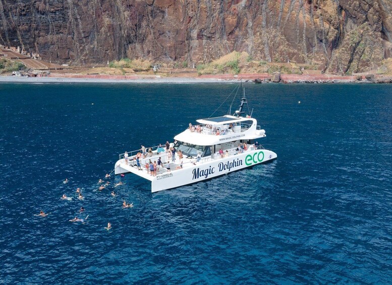 Picture 9 for Activity From Funchal: Ecological Catamaran Dolphin Whale Watching