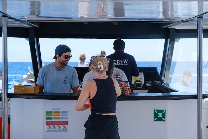 Picture 8 for Activity From Funchal: Ecological Catamaran Dolphin Whale Watching