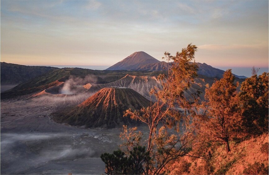 Picture 3 for Activity From Malang: Mount Bromo Sunrise Day Trip with Breakfast