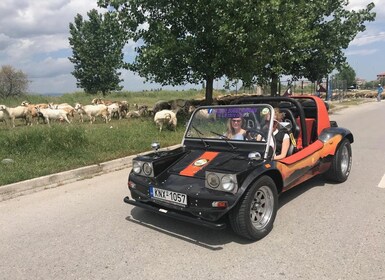Buggy Safari " Discover Olympus " by Classic Buggy Rentals
