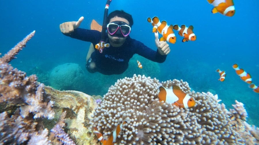 From Jepara: Karimunjawa Archipelago 3-Day Snorkeling Tour