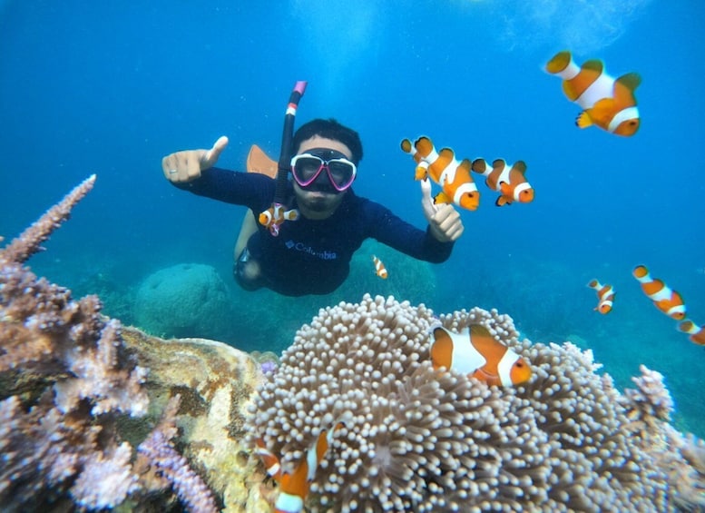 From Jepara: Karimunjawa Archipelago 3-Day Snorkeling Tour