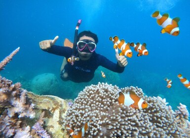 From Jepara: Karimunjawa Archipelago 3-Day Snorkelling Tour