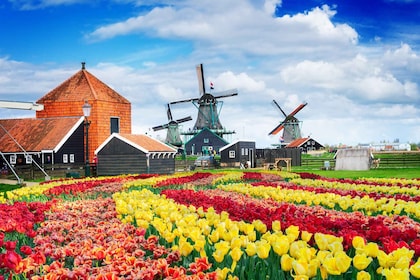 Amsterdam to Zaanse Schans Windmills, Volendam & Edam by Car