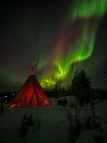 Rovaniemi: Northern Lights Tour at the Campfire
