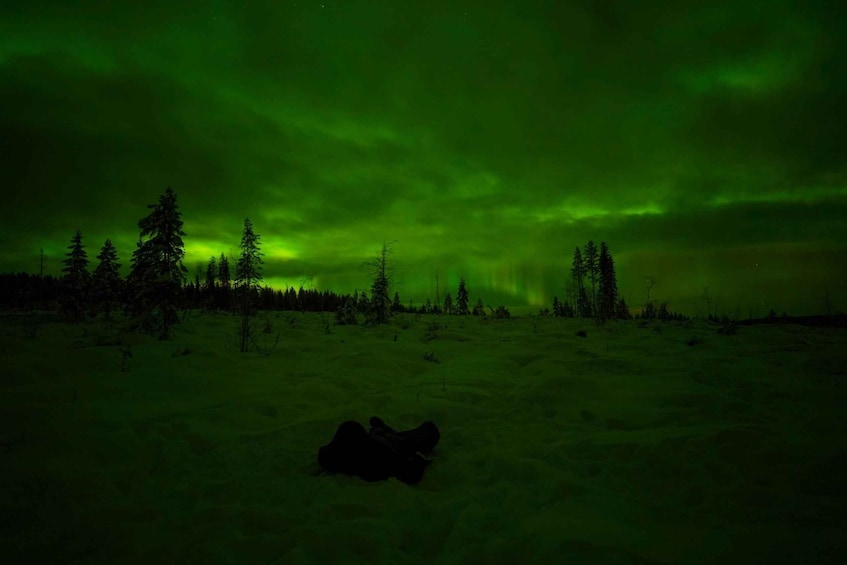 Picture 3 for Activity Rovaniemi: Northern Lights Tour at the Campfire