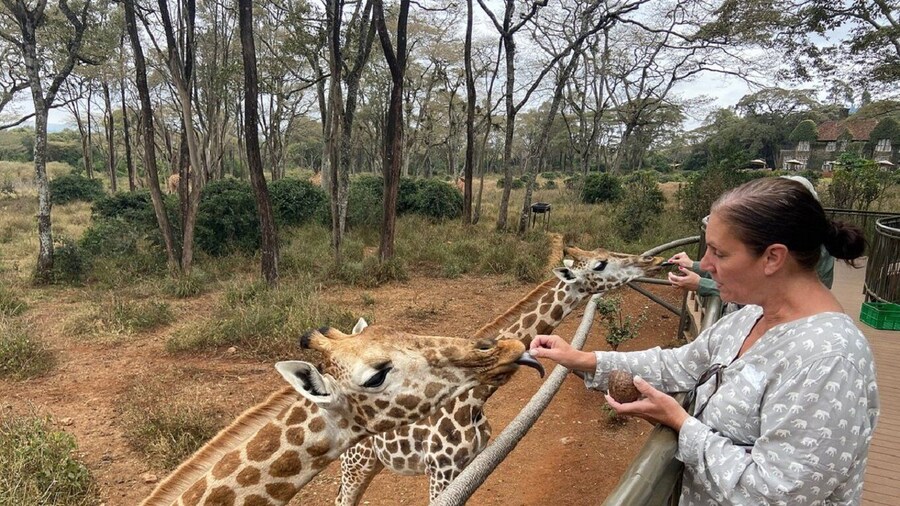 Nairobi: Elephant Orphanage, Giraffe Center, & Karen Blixen
