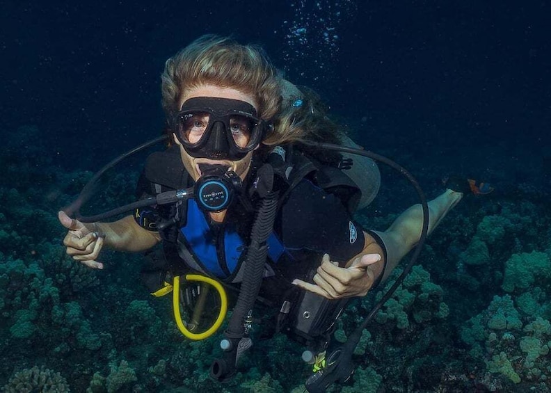 Picture 6 for Activity Maui: Small Group Shark & Turtle Scuba Dive from Shore