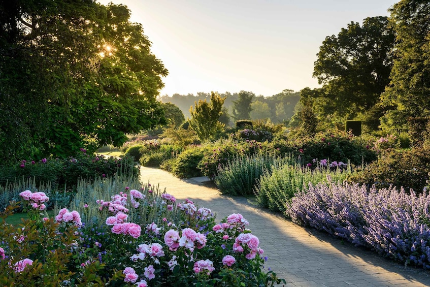 Picture 3 for Activity Woking: Royal Horticultural Society Wisley Garden Ticket