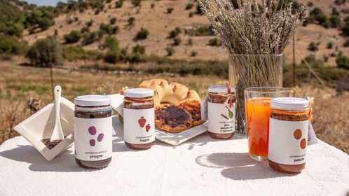 Olbia: jam tasting in Tula