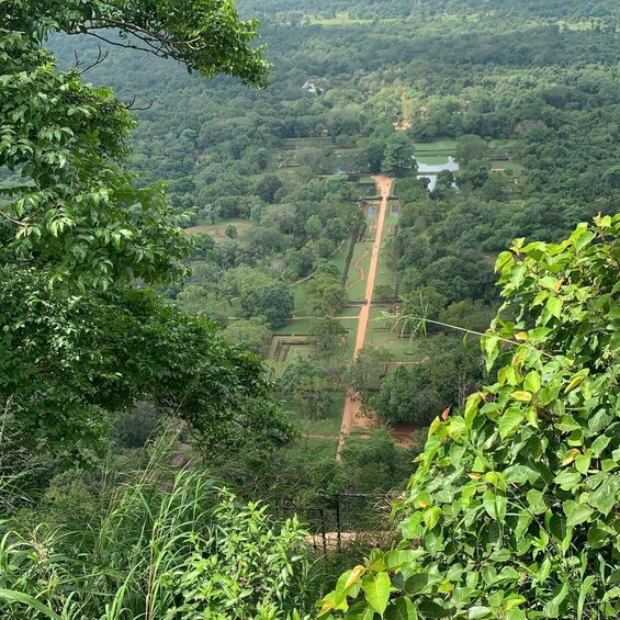 Picture 18 for Activity Kalutara: from Sigiriya Lion Rock and Dambulla Day Tour