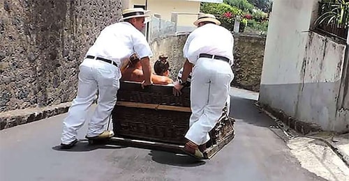 Tour de luge et visite de dégustation de vin de Madère