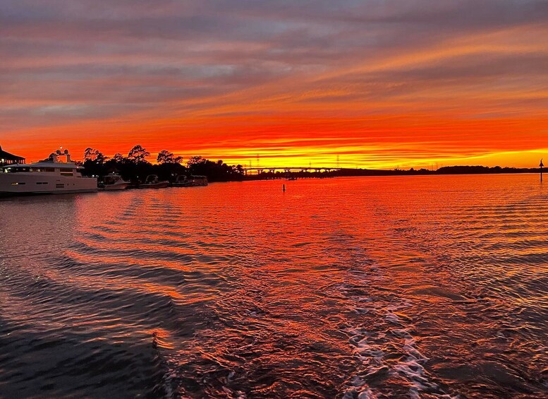 Picture 1 for Activity Hilton Head: 2 Hour Large Group Tour (7-20 people)