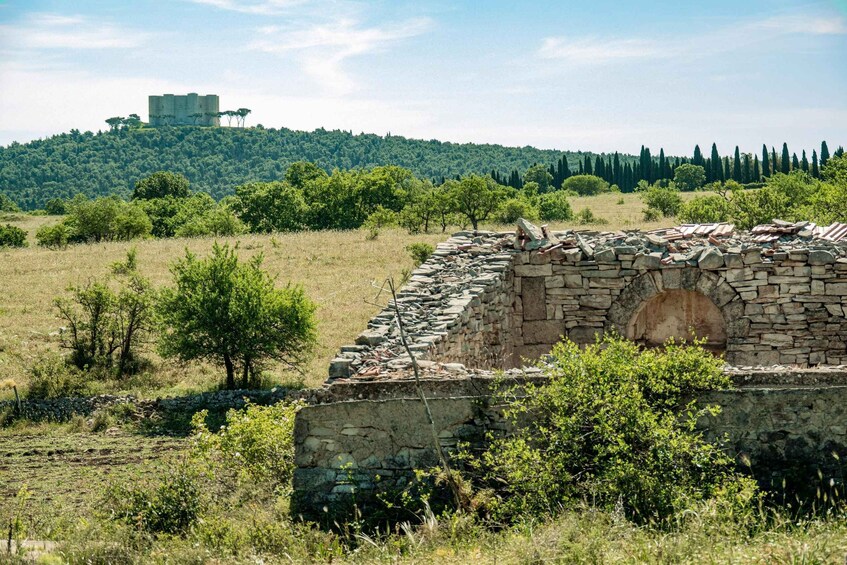 Organized tour from Bari to Castel del Monte