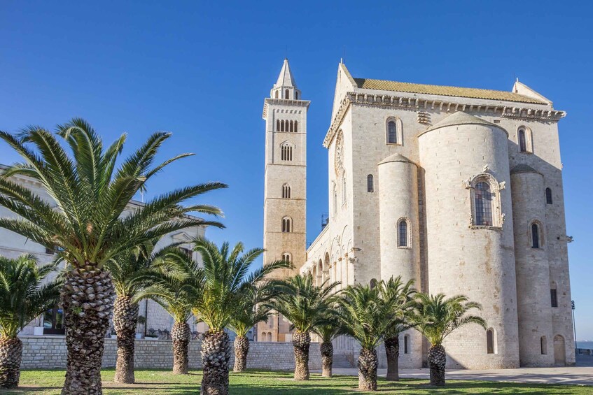 Picture 2 for Activity Organized tour from Bari to Castel del Monte