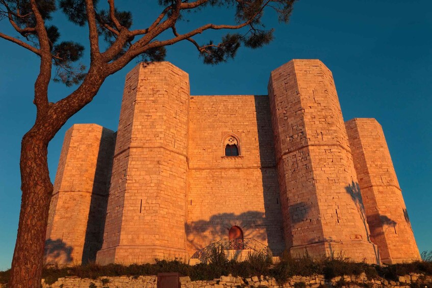 Picture 1 for Activity Organized tour from Bari to Castel del Monte