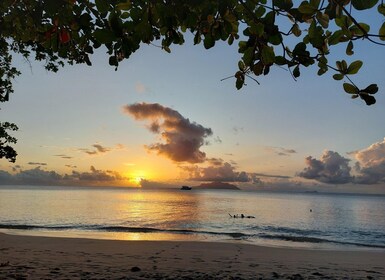 Seychelles: Best of Mahe Private Tour