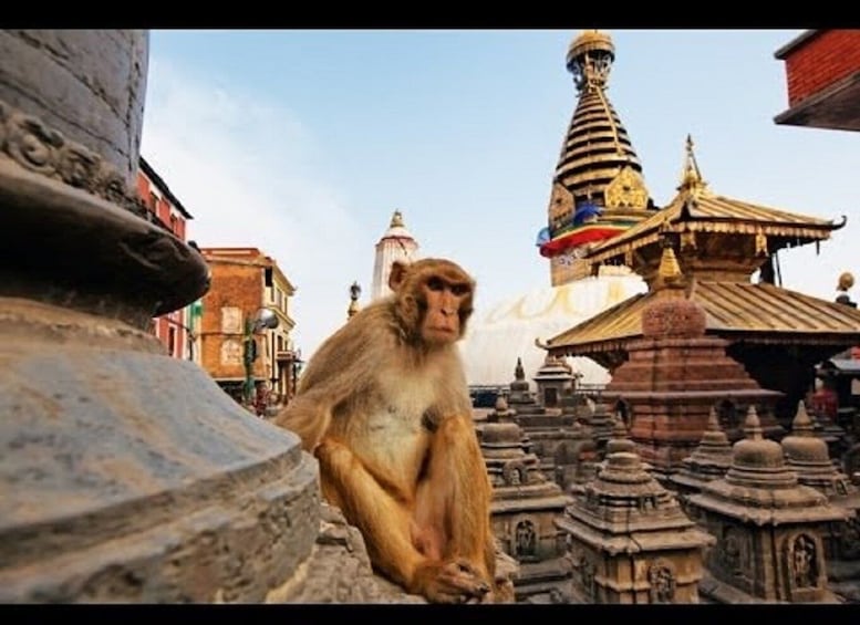 Picture 2 for Activity Discovering Kathmandu: Full-Day City Highlights Bus Tour