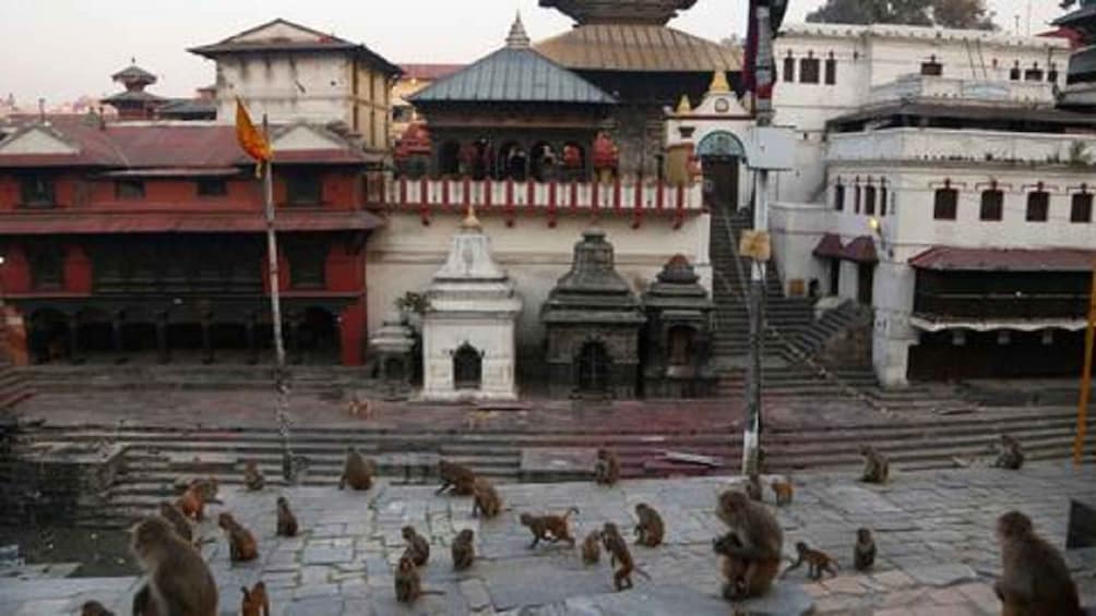 Picture 4 for Activity Discovering Kathmandu: Full-Day City Highlights Bus Tour