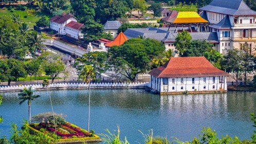 Day Tour To Kandy From Colombo