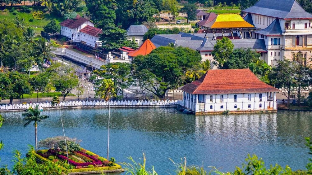 Day Tour To Kandy From Colombo