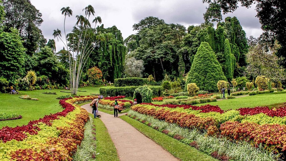 Picture 3 for Activity Day Tour To Kandy From Colombo