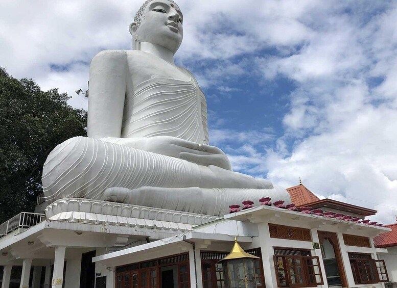 Picture 5 for Activity Day Tour To Kandy From Colombo