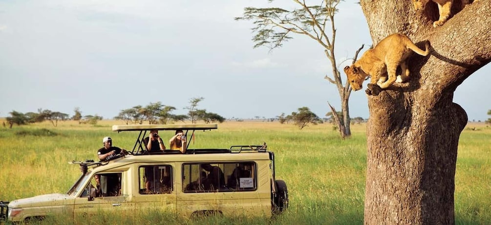 4-day Ultimate Camping Safari in Tanzania