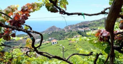 Besuch eines lokalen Weinbergs mit Weinprobe und Mittagessen inklusive