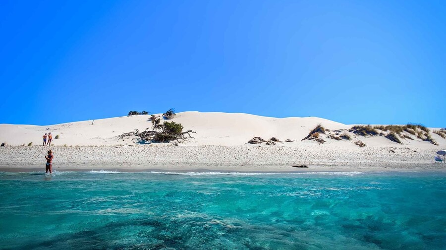 Beach Tour Porto Pino & Piscinnì from Cagliari