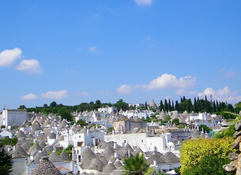 Picture 2 for Activity Alberobello: tour guidato a piedi di 2 ore nei trulli