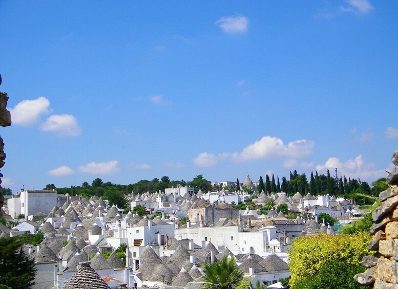 Picture 2 for Activity Alberobello: tour guidato a piedi di 2 ore nei trulli