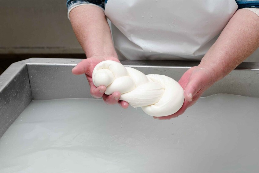Picture 1 for Activity Vico Equense: Tour in the dairy "Mozzarella Experience"