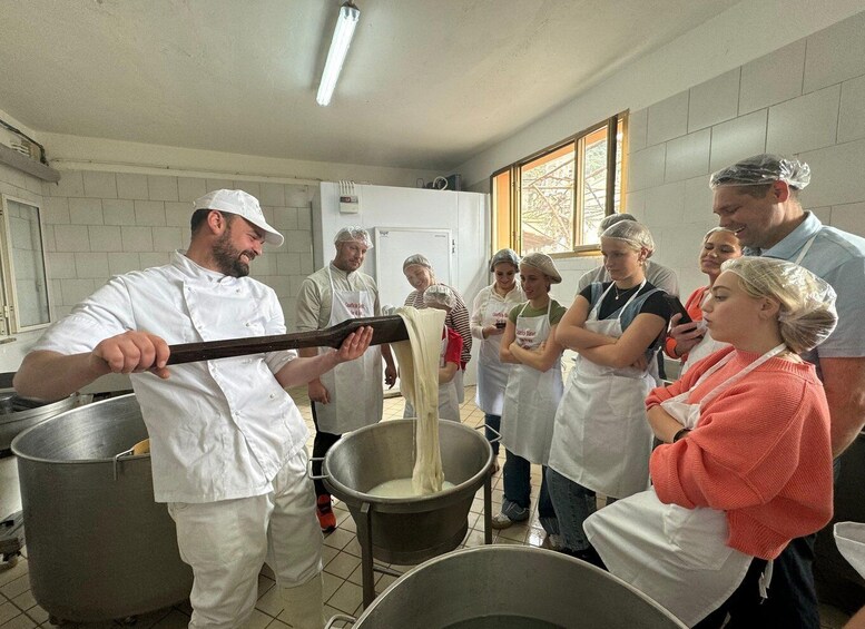 Picture 6 for Activity Vico Equense: Tour in the dairy "Mozzarella Experience"