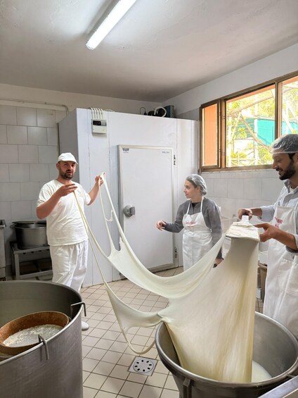 Picture 12 for Activity Vico Equense: Tour in the dairy "Mozzarella Experience"