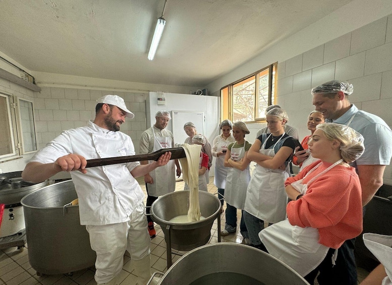 Picture 3 for Activity Vico Equense: Tour in the dairy "Mozzarella Experience"