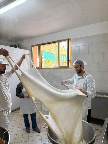 Picture 9 for Activity Vico Equense: Tour in the dairy "Mozzarella Experience"