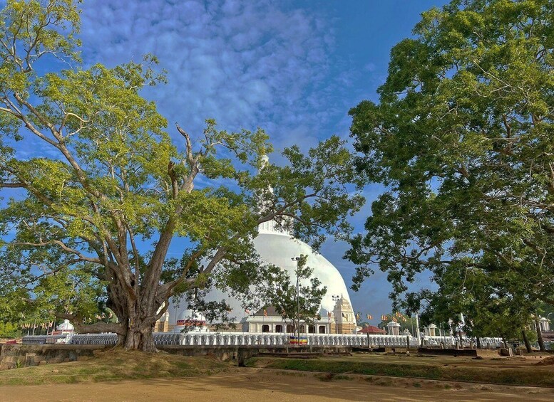 Picture 3 for Activity Anuradhapura Private Ancient City Day Tour