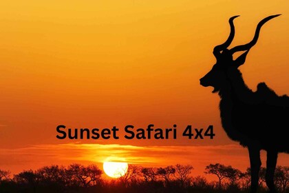 Cascate Vittoria: Safari al tramonto 4x4