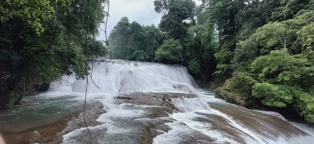 Picture 6 for Activity From Palenque:Wonders of the Roberto Barrios Waterfalls Tour