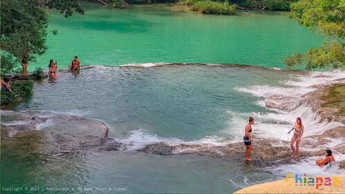 Desde Palenque: recorrido por las maravillas de las cascadas de Roberto Bar...