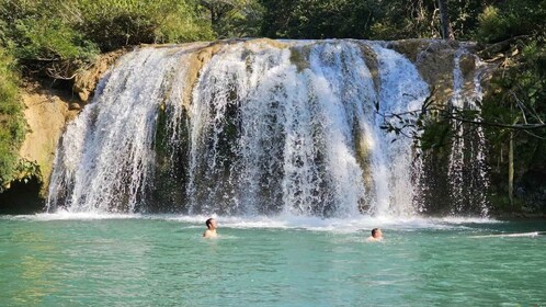 Vanuit Palenque: Tour naar de Roberto Barrios watervallen