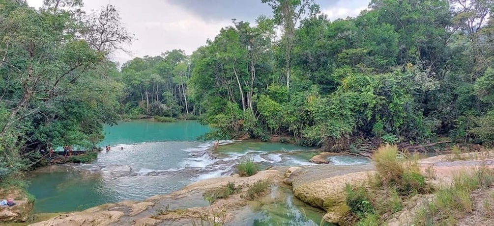 Picture 2 for Activity From Palenque:Wonders of the Roberto Barrios Waterfalls Tour