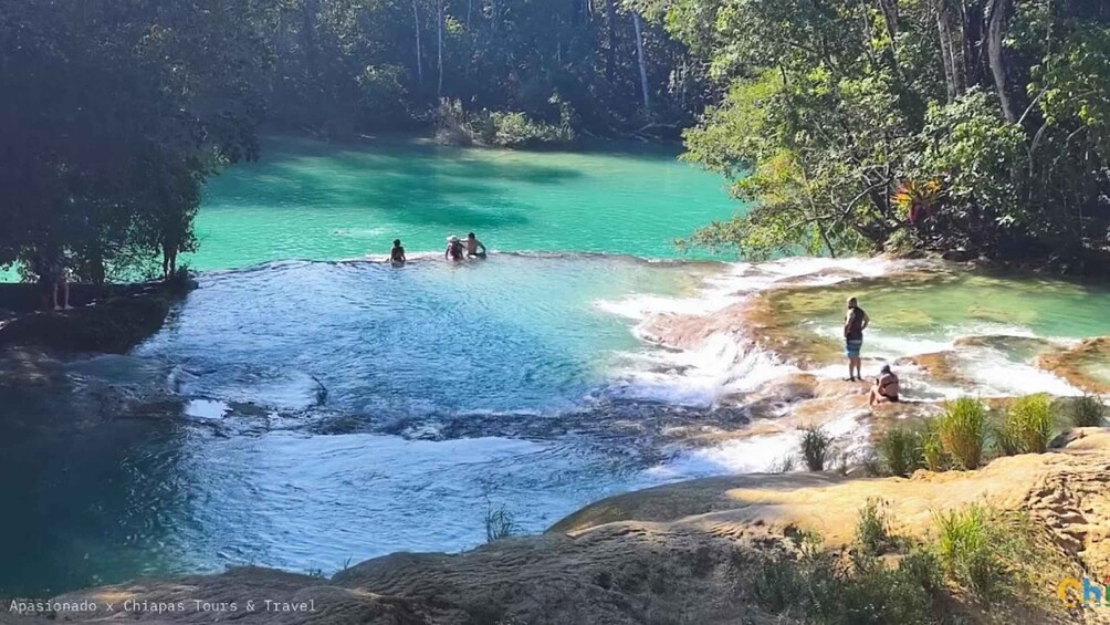 Picture 1 for Activity From Palenque:Wonders of the Roberto Barrios Waterfalls Tour